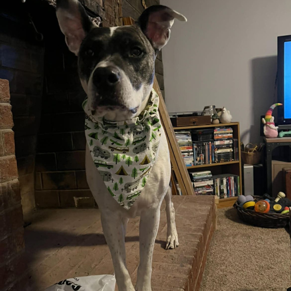 Look at this handsome boy